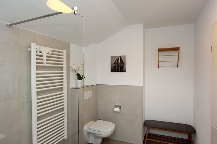 Shower room with heated towel rail and WC